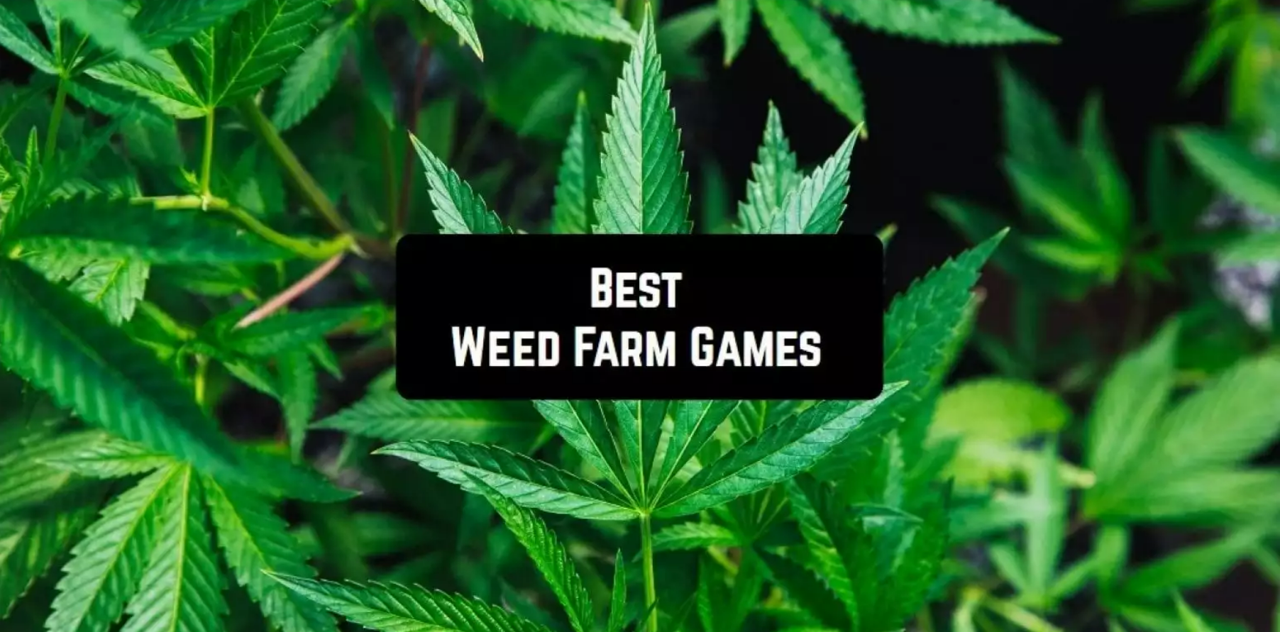 Weed Farm Games