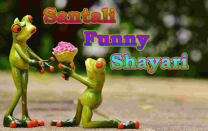 Santali Funny Shayari