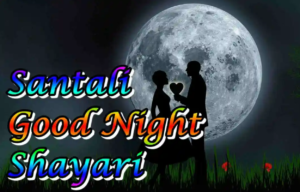 Santali Good Night Shayari
