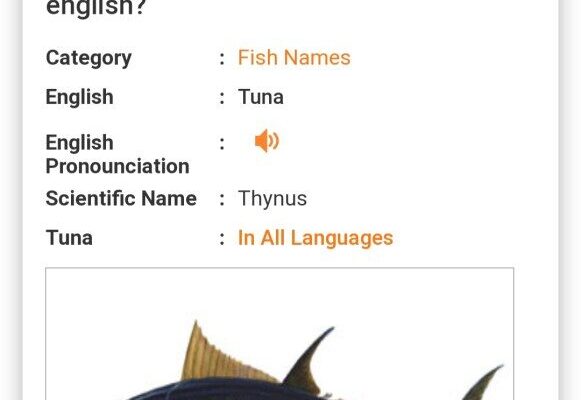 marathi name of tuna fish
