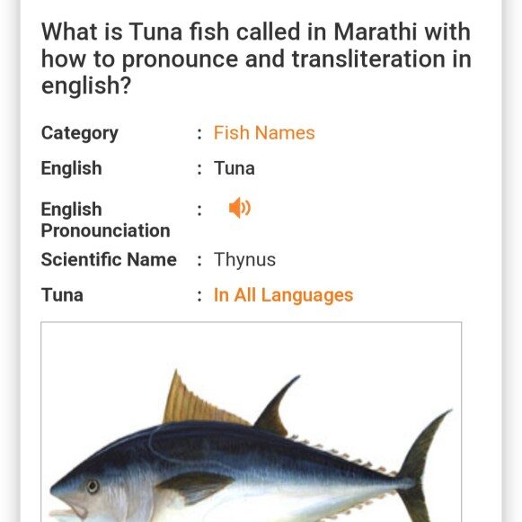 marathi name of tuna fish
