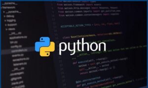 python programmer job description