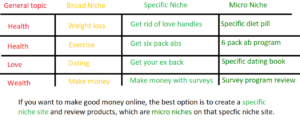 Micro Niche Blog Ideas