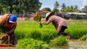 Support Local Farmers and Small Businesses